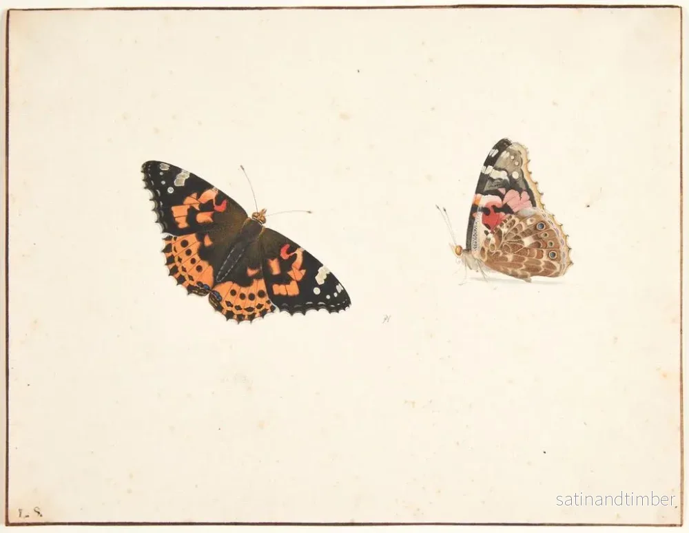 Reproduktion av målningen Studie av en tidsfjäril, Vanessa cardui - Pieter Holsteijn - Bild 2
