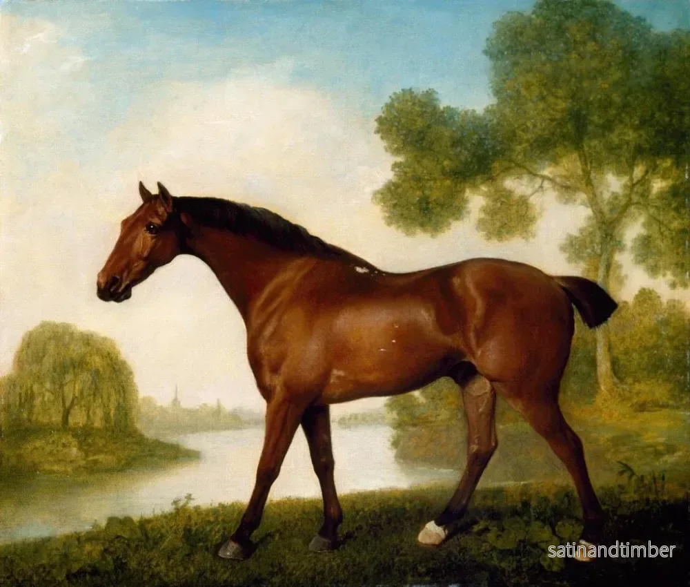 Reproduktion av målningen En trapplöparejägare - George Stubbs - Bild 2