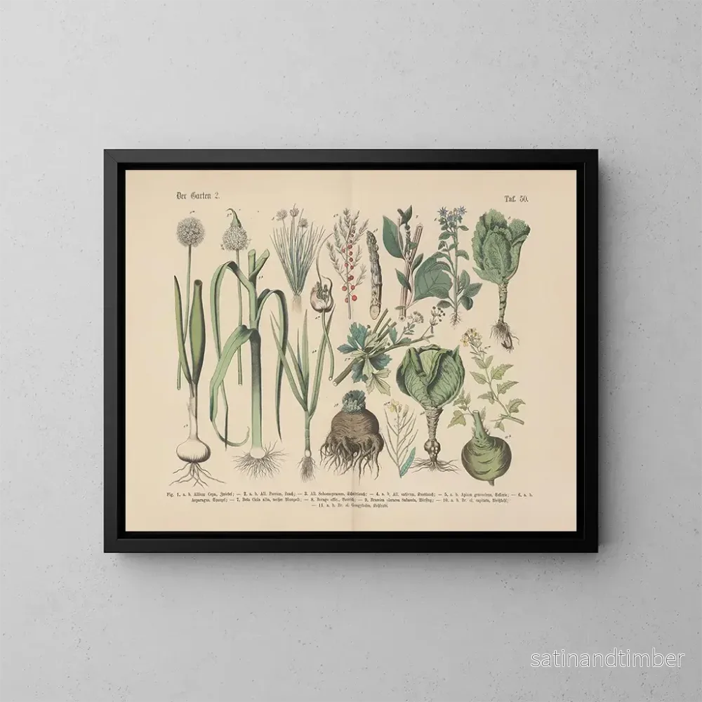 Reproduktion av målningen Manuel de botanique pratique en mots et en images Pl50 - Carl Hoffmann