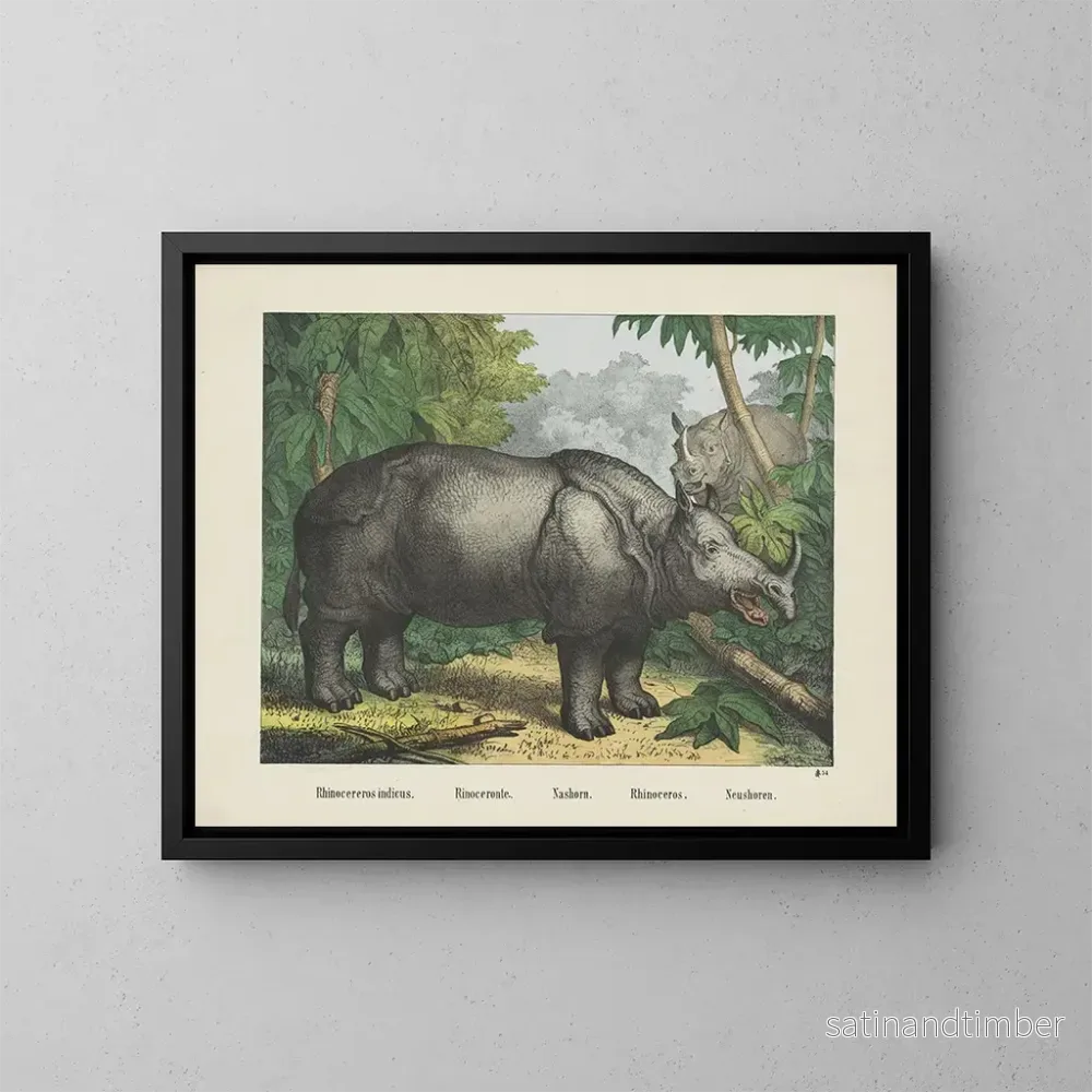 Reproduktion av målningen Rhinocéros - Joseph Scholz