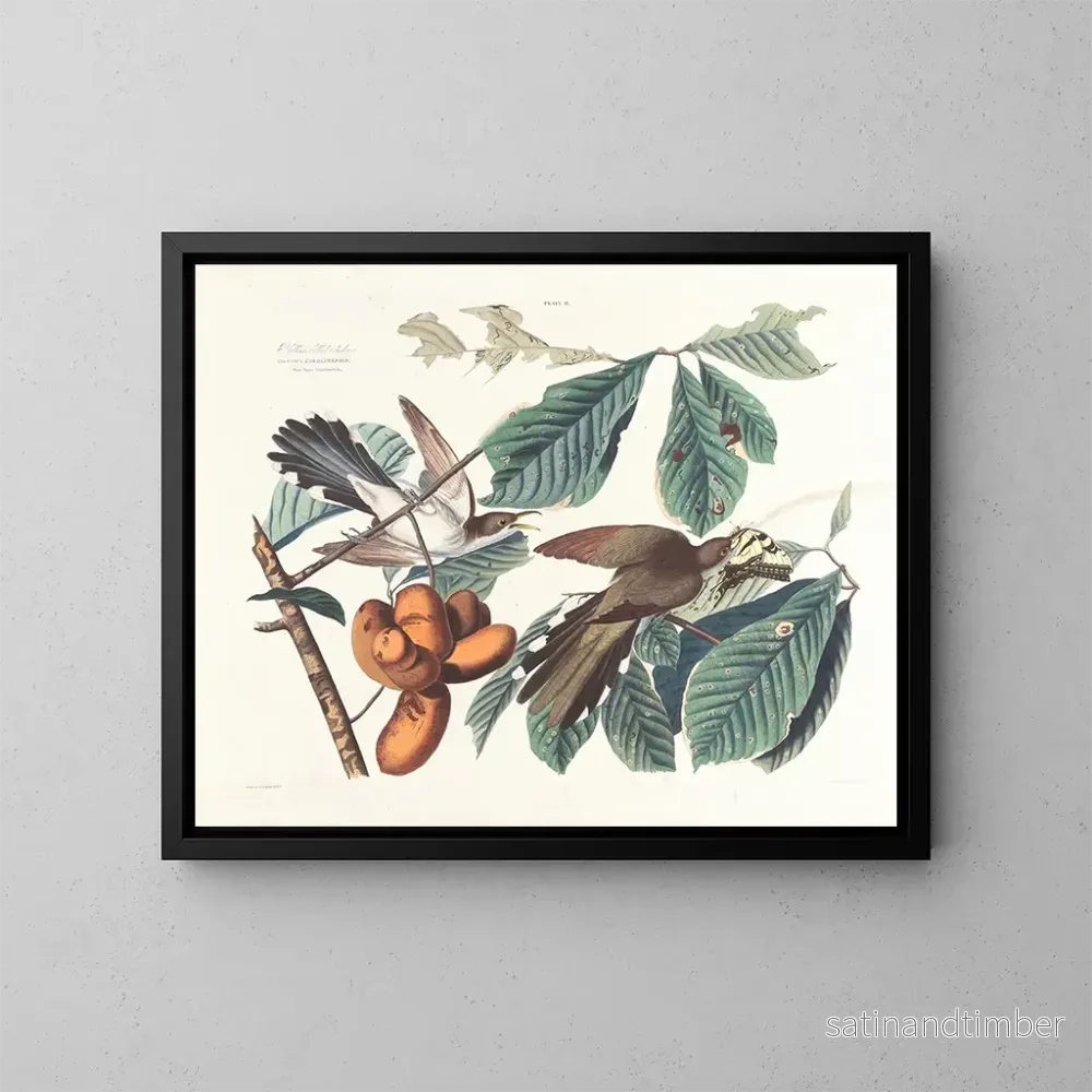 Reproduktion av målningen Coucou à bec jaune - John James Audubon