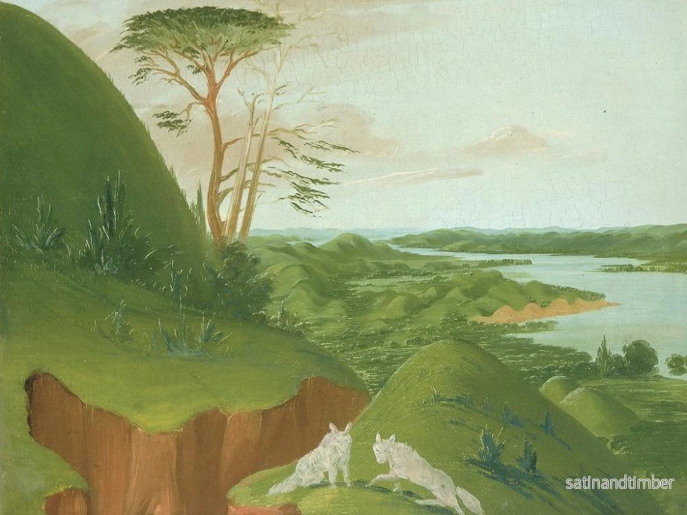 Reproduktion av målningen av flodklippor med vita vargar i förgrunden, Haut-Missouri - George Catlin - Bild 2