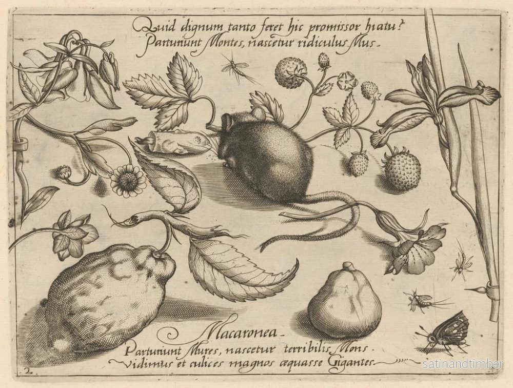 Reproduktion av målningen av arketyp och studier av fadern Georgius Hoefnagel Pl43 - Joris Hoefnagel - Bild 2