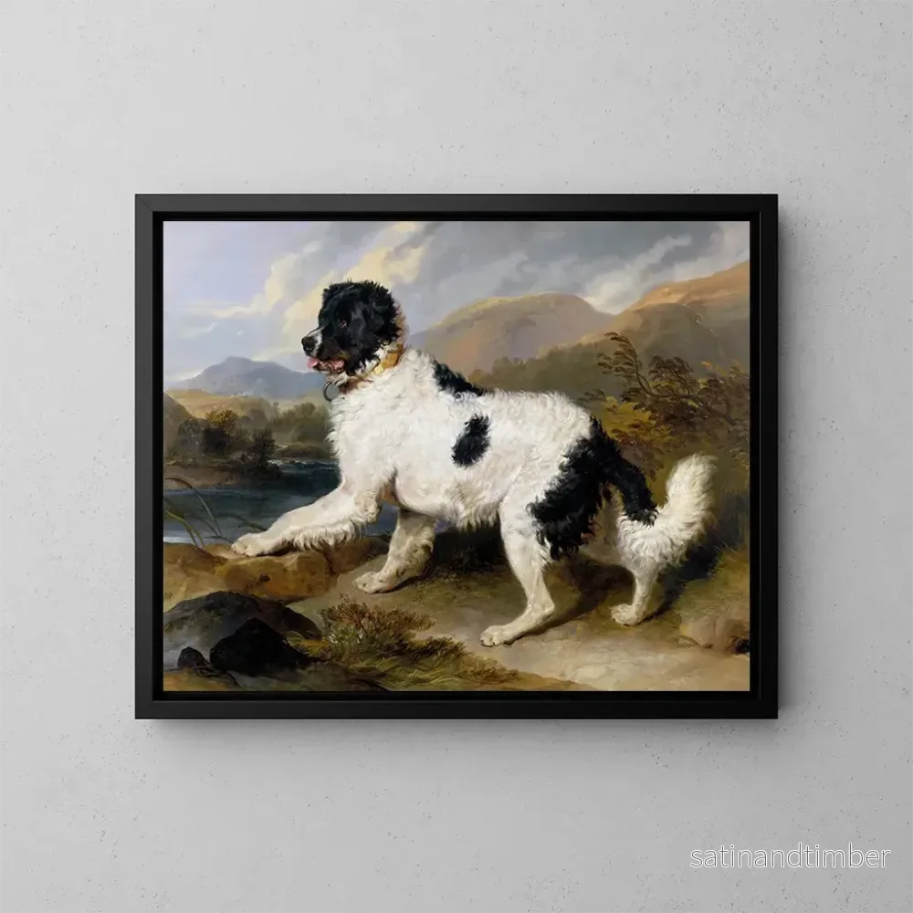 Reproduktion av målningen Lion, en Newfoundland-hund - Sir Edwin Henry Landseer