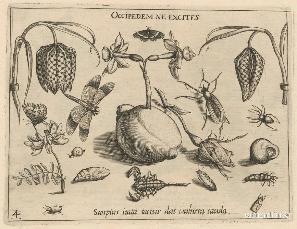 Reproduktion av målningen av arketyp och studier av fadern Georgius Hoefnagel Pl45 - Joris Hoefnagel - Bild 2