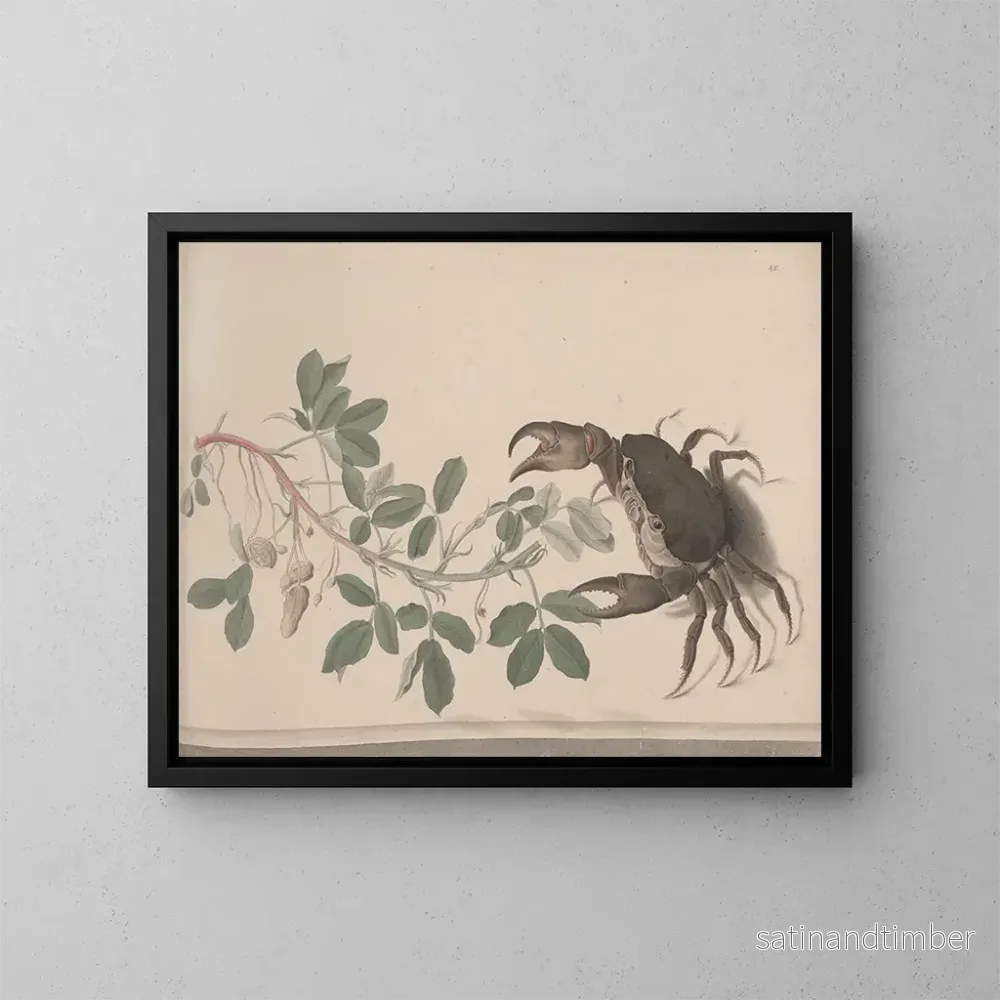 Reproduktion av målningen Histoire naturelle de Saint-Domingue Pl. 177 - René de Rabi