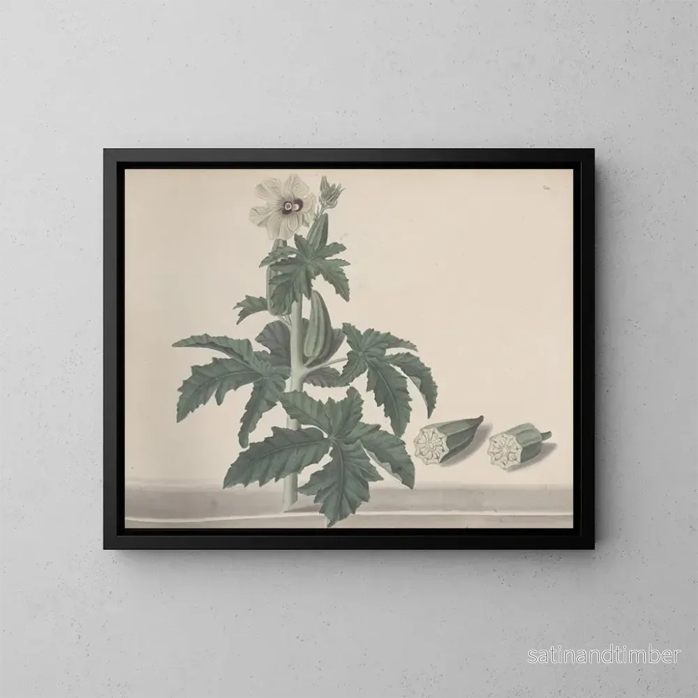 Reproduktion av målningen Histoire naturelle de Saint-Domingue Pl151 - René de Rabi