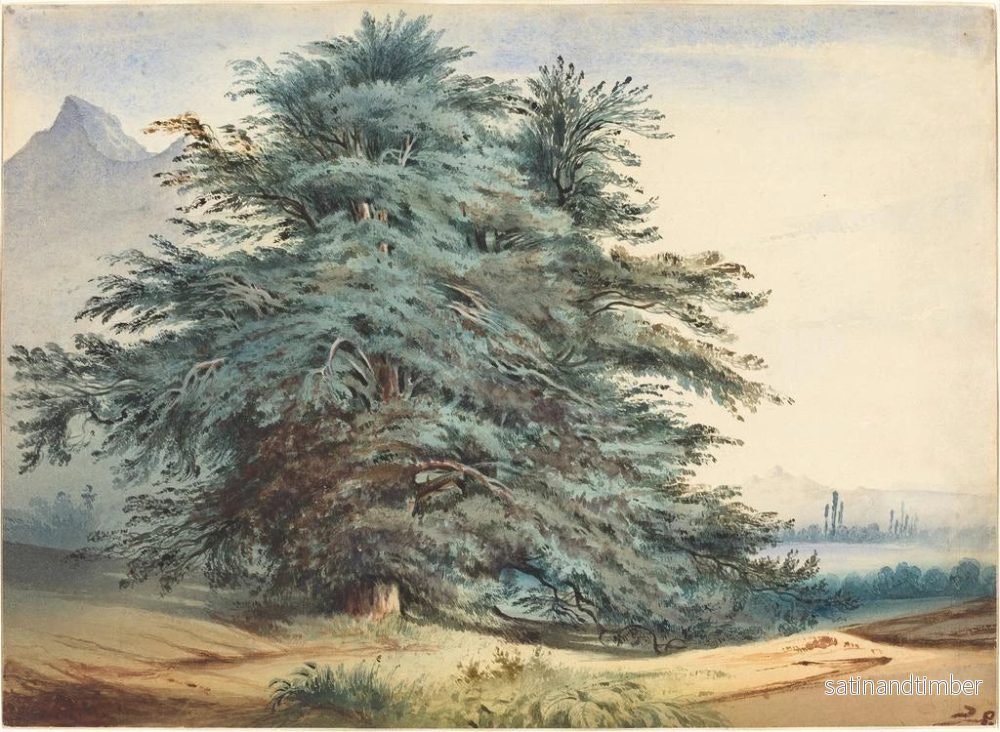 Reproduktion av målningen av två gamla träd framför ett bergstopp - Jules Dupré - Bild 2