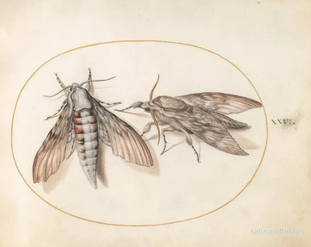Reproduktion av målningen Platine 26 Två sphinxar - Joris Hoefnagel - Bild 2