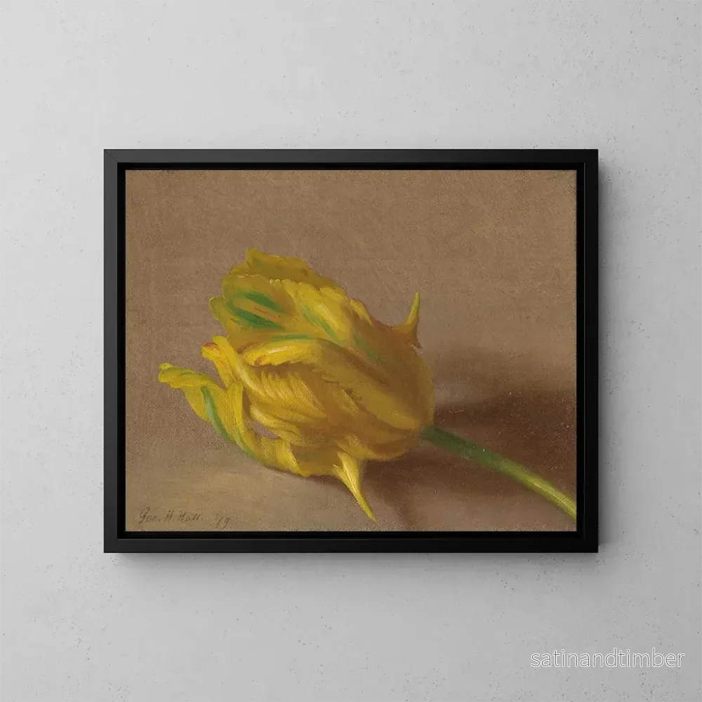 Reproduktion av målningen Tulipe – George Henry Hall Reproduktion av målningen Tulipe – George Henry Hall