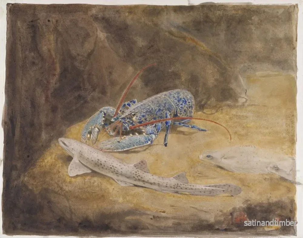Reproduktion av målningen Akvarium med tre fiskar från Nordsjön: langouste, haj och plattfisk - Gerrit Willem Dijsselhof - Bild 2