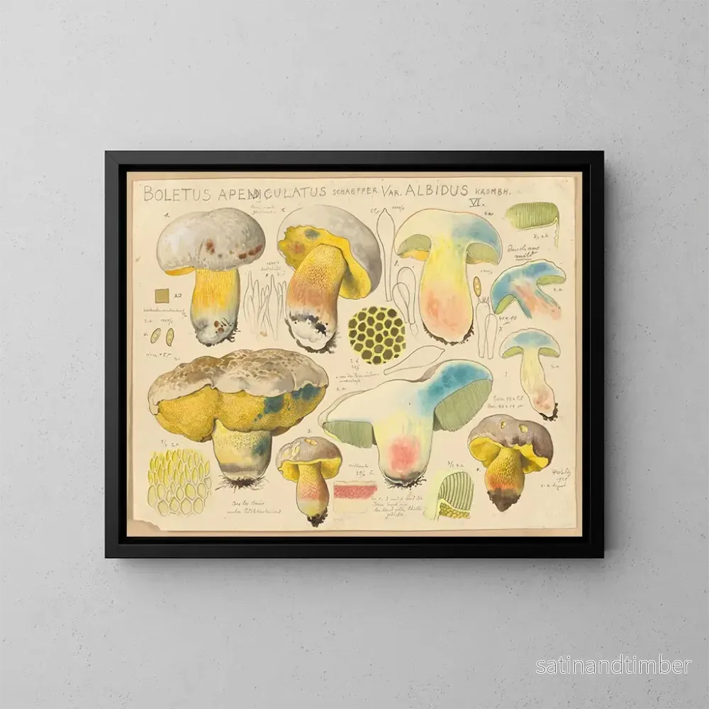 Reproduktion av målningen Boletus appendiculatus var. albidus – Hans Baldung Reproduktion av målningen Boletus appendiculatus var. albidus – Hans Baldung