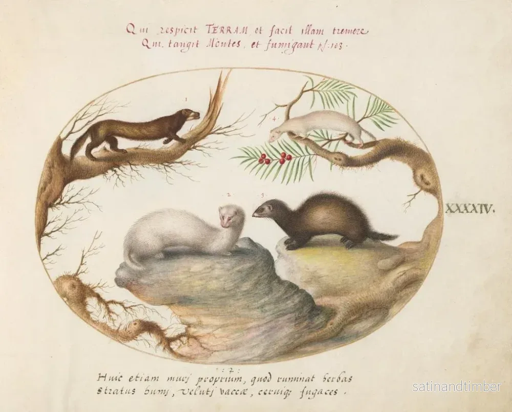 Reproduktion av målningen Fouine, vison och hermine - Joris Hoefnagel - Bild 2