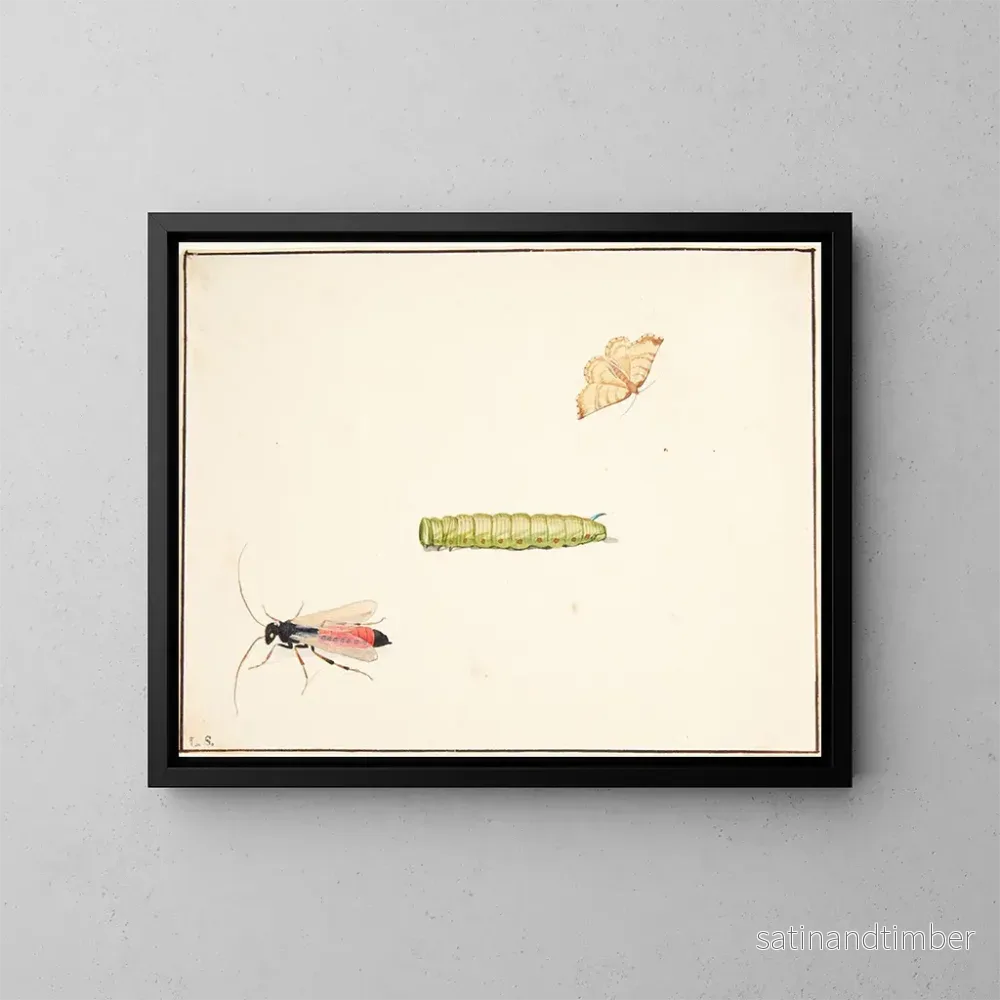 Reproduktion av målningen Tre studier av insekter - Pieter Holsteijn
