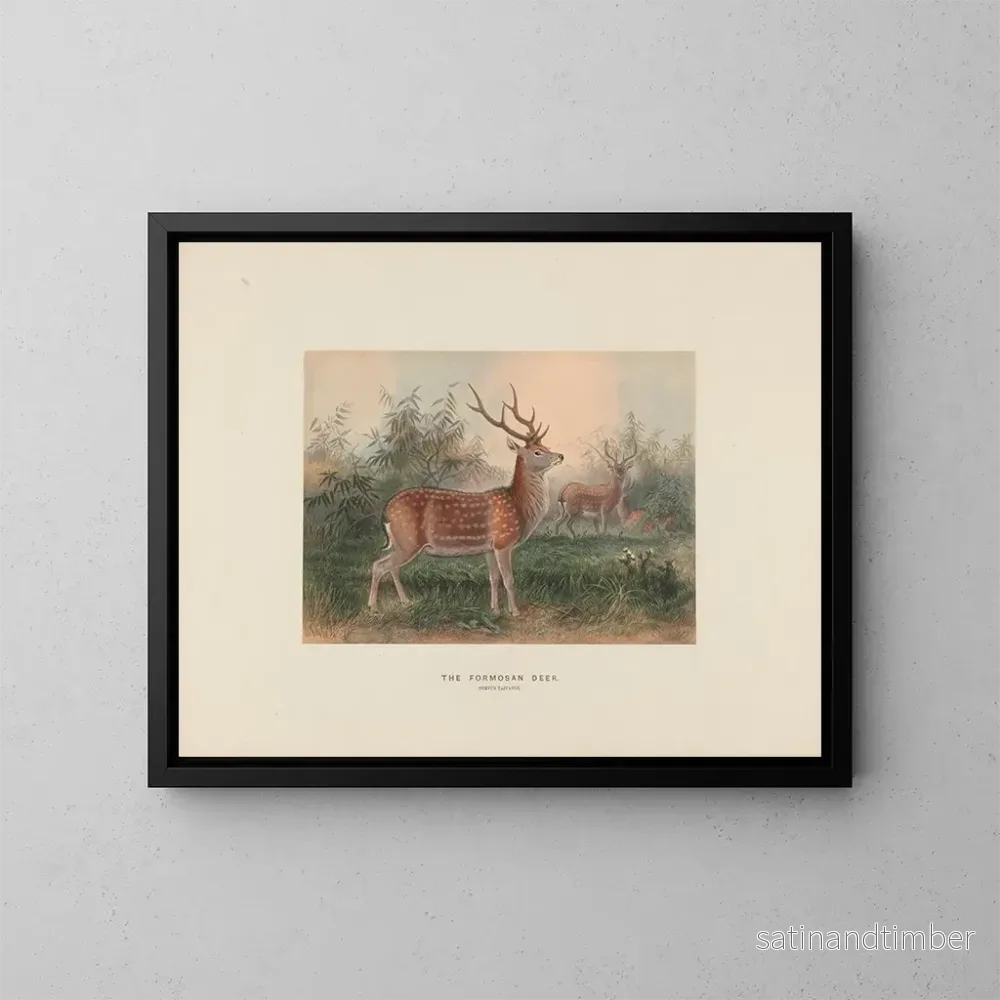 Reproduktion av målningen Le cerf de Formose - Joseph Wolf