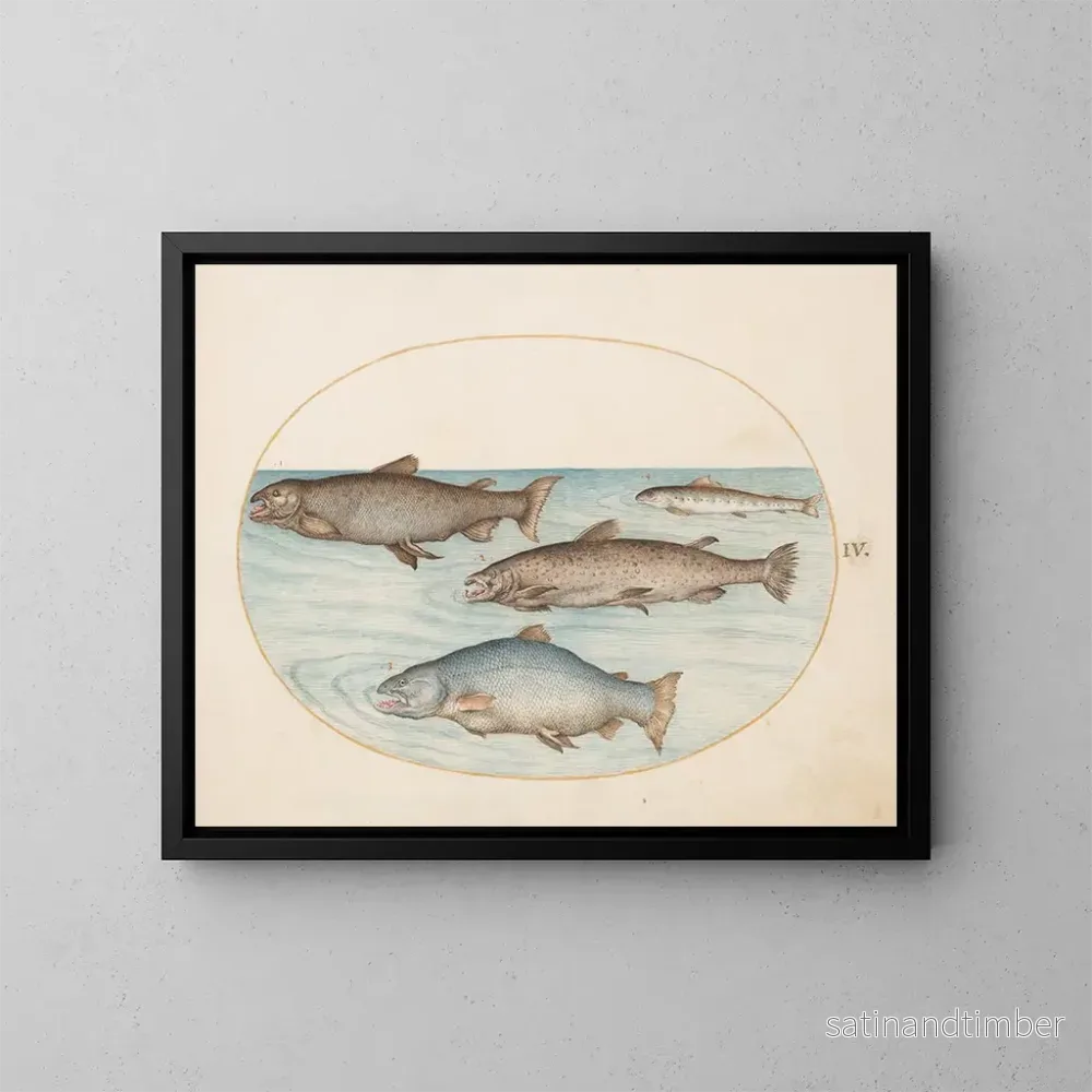Reproduktion av målningen Plaque 4 Quatre saumons - Joris Hoefnagel