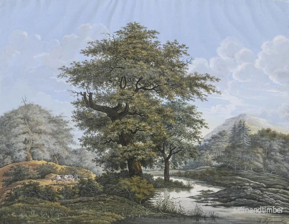 Reproduktion av målningen av ett skogigt landskap med en ek vid en flod - Johann David Passavant - Bild 2