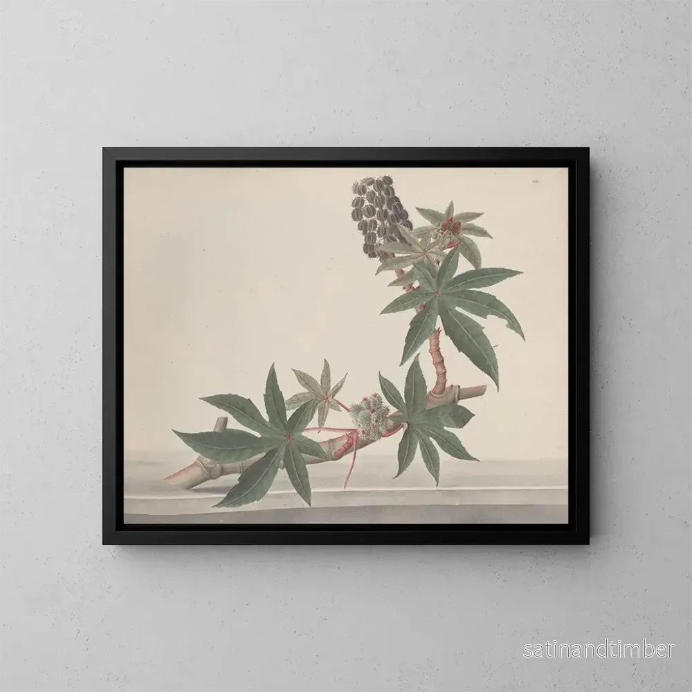 Reproduktion av målningen Histoire naturelle de Saint-Domingue Pl178 - René de Rabi