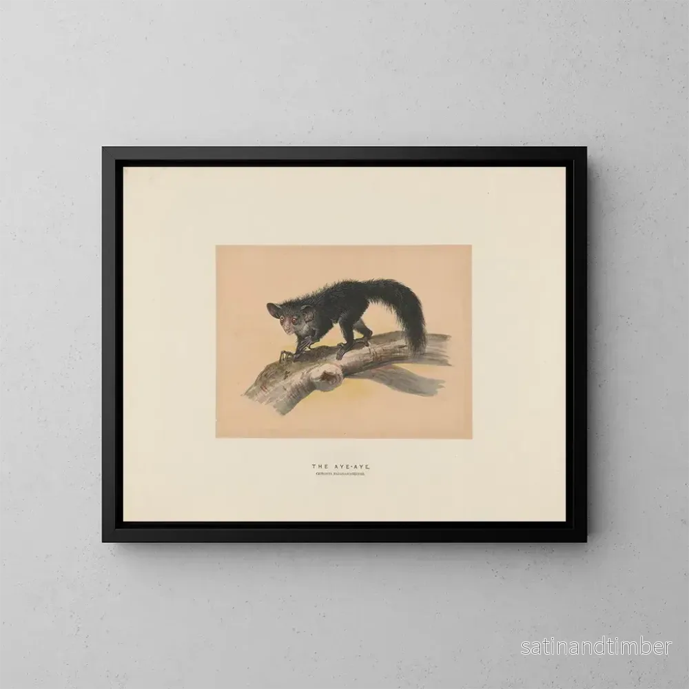 Reproduktion av målningen L'Aye-Aye - Joseph Wolf