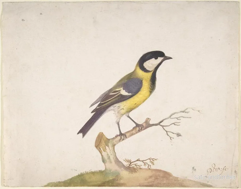 Reproduktion av målningen En mesange charbonnière som sitter på en gren - Pieter Withoos - Bild 2