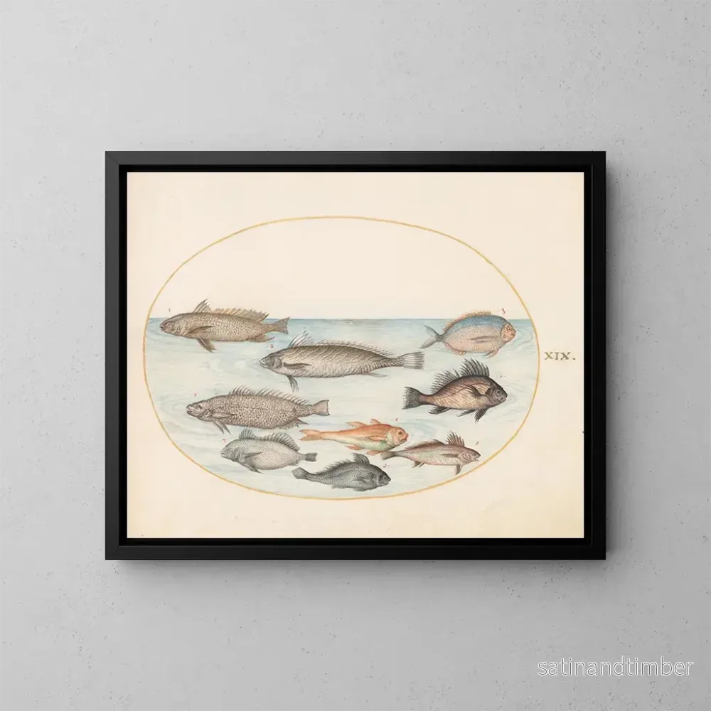 Reproduktion av målningen Platine 19 En dammfisk och andra fiskar, inklusive två koracinis - Joris Hoefnagel