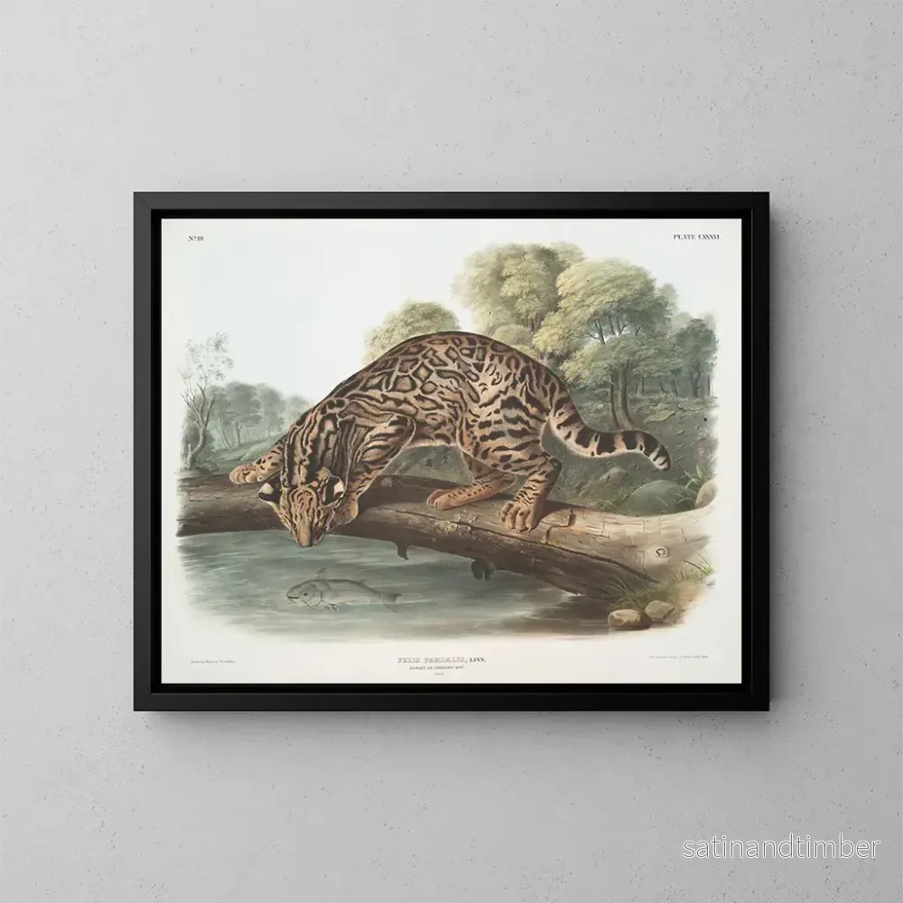 Reproduktion av målningen Ocelot eller hankatt leopard - John Woodhouse Audubon