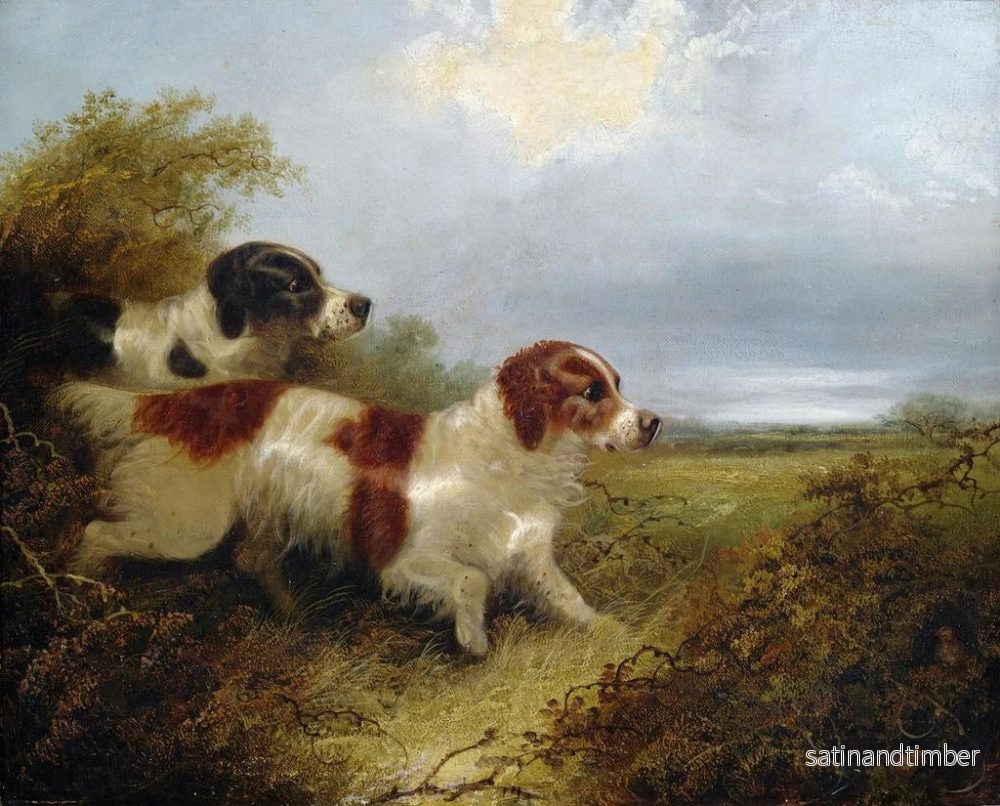 Reproduktion av målningen Två terriers - Edward Armfield - Bild 2