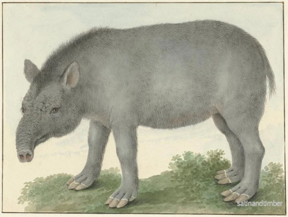 Reproduktion av målningen Tapir - Isaac van Haastert - Bild 2