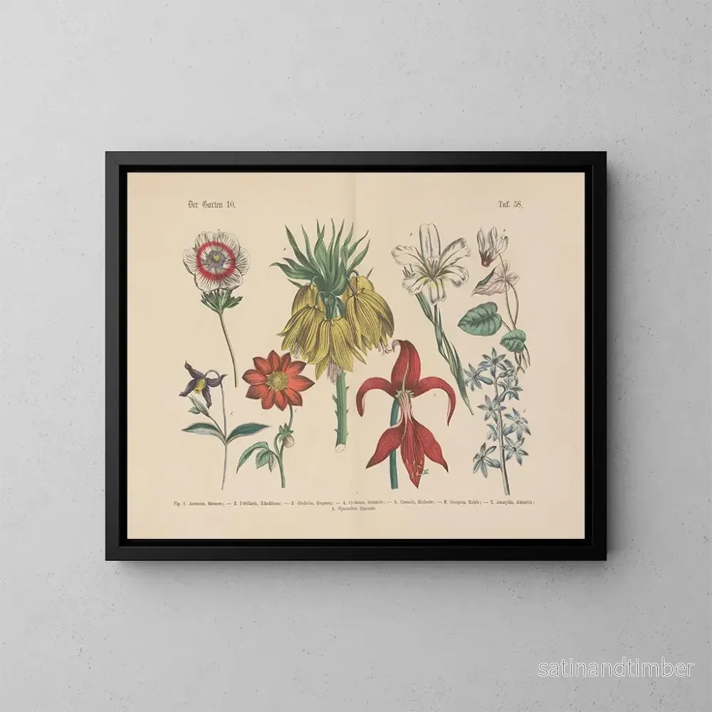 Reproduktion av målningen Manuel de botanique pratique en mots et en images Pl58 - Carl Hoffmann