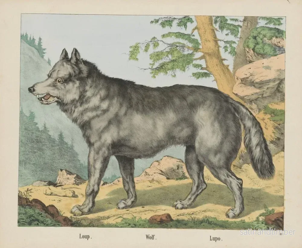 Reproduktion av målningen Loup - Joseph Scholz - Bild 2