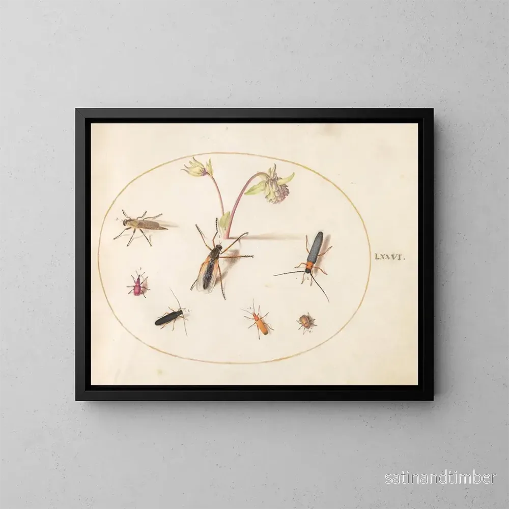 Reproduktion av målningen Växt 76 Insekter med en rosa och krämfärgad anemon - Joris Hoefnagel