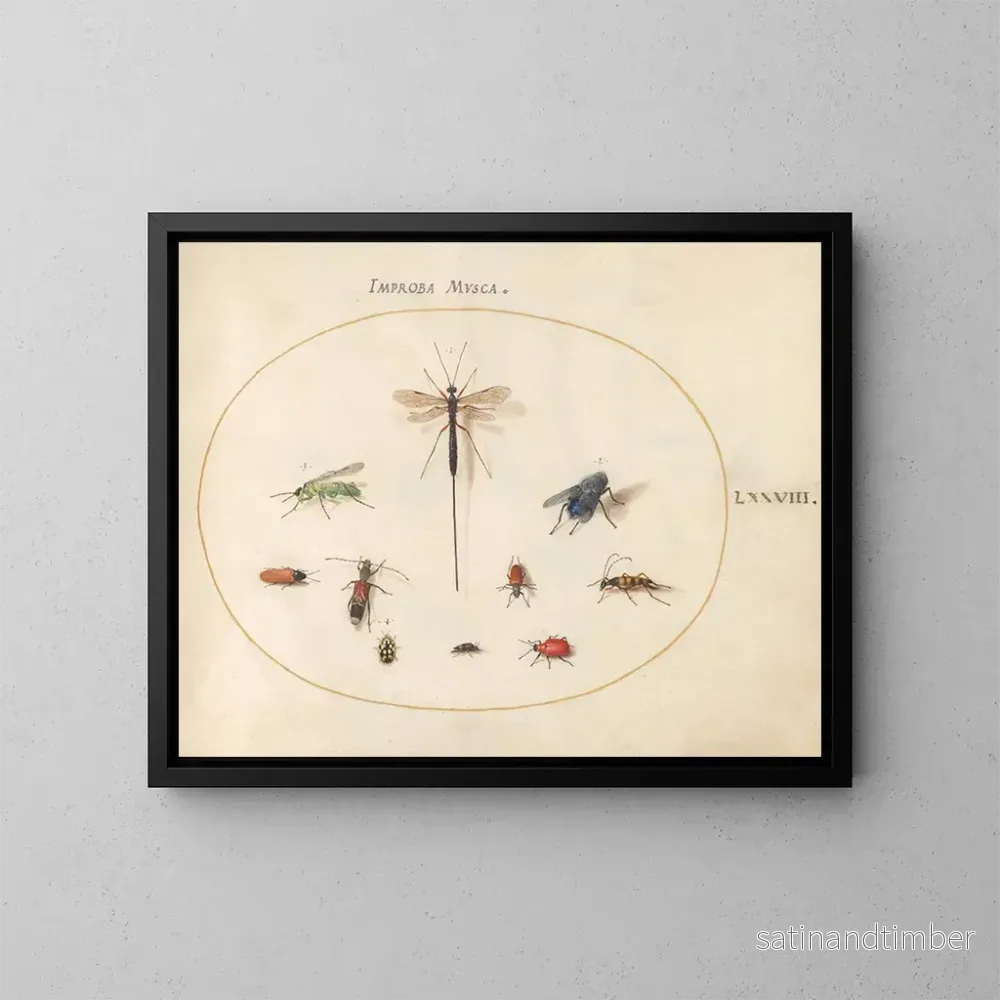 Reproduktion av målningen Planche 78 Dix insekter inklusive en blå fluga - Joris Hoefnagel