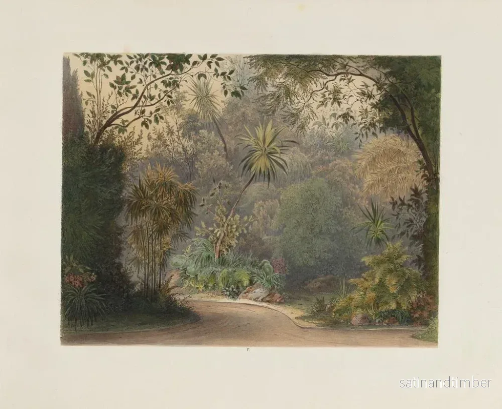 Reproduktion Le jardin d'hiver dans la Hofburg – Franz Antoine — plansch 05 - Bild 2