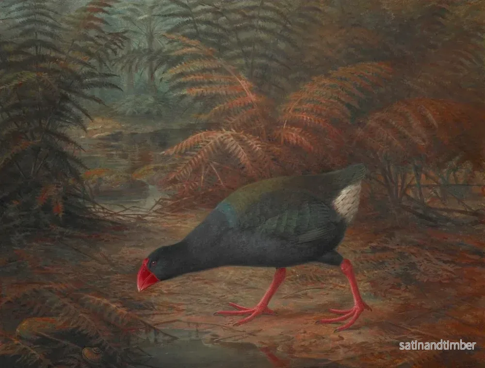 Reproduktion av målningen av en moho takahe Notornis mantelli - John Gerrard Keulemans - Bild 2