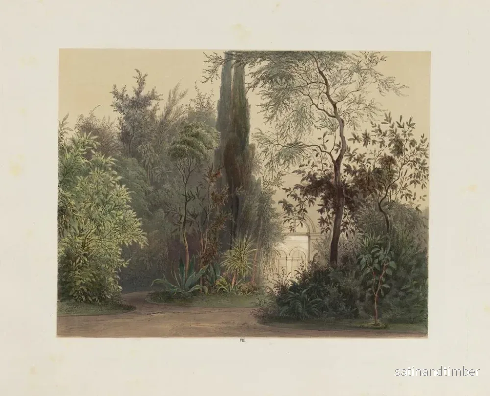 Reproduktion Le jardin d'hiver dans la Hofburg – Franz Antoine — plansch 08 - Bild 2