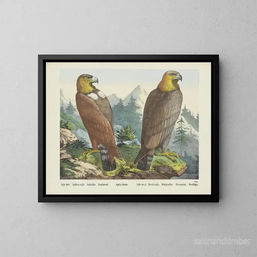 Reproduktion av målningen Aigle royal – Joseph Scholz Reproduktion av målningen Aigle royal – Joseph Scholz