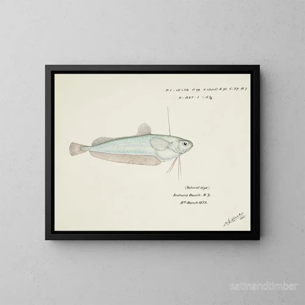 Reproduktion av målningen Auchenocéros punctatus NZ Ahuru - Frank Edward Clarke