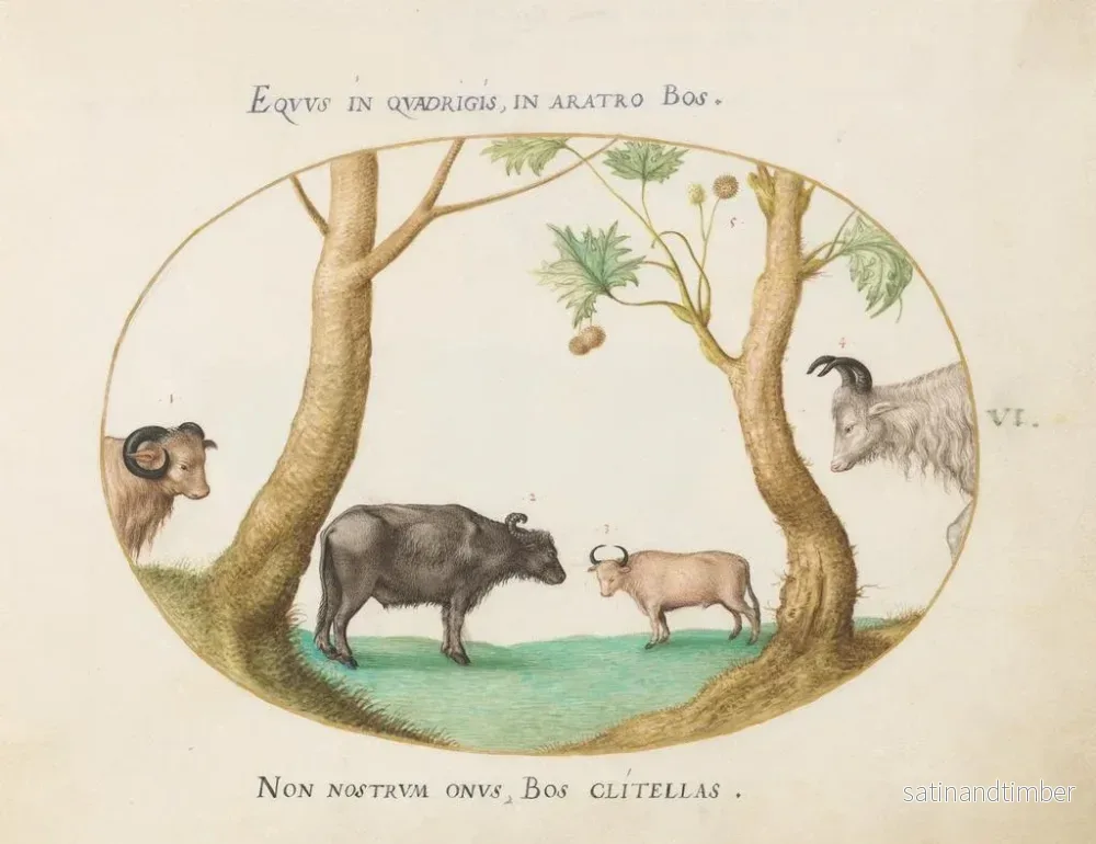 Reproduktion av målningen En variation av nötdjur med en bagge och en vattenbuffel nära en platan - Joris Hoefnagel - Bild 2