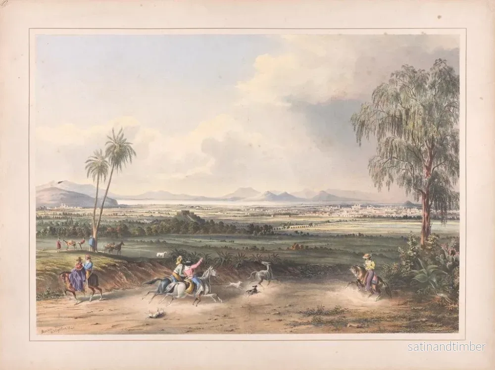 Reproduktion av målningen Vyer av Égerton i Mexiko, pl. 10 - Daniel Thomas Egerton - Bild 2