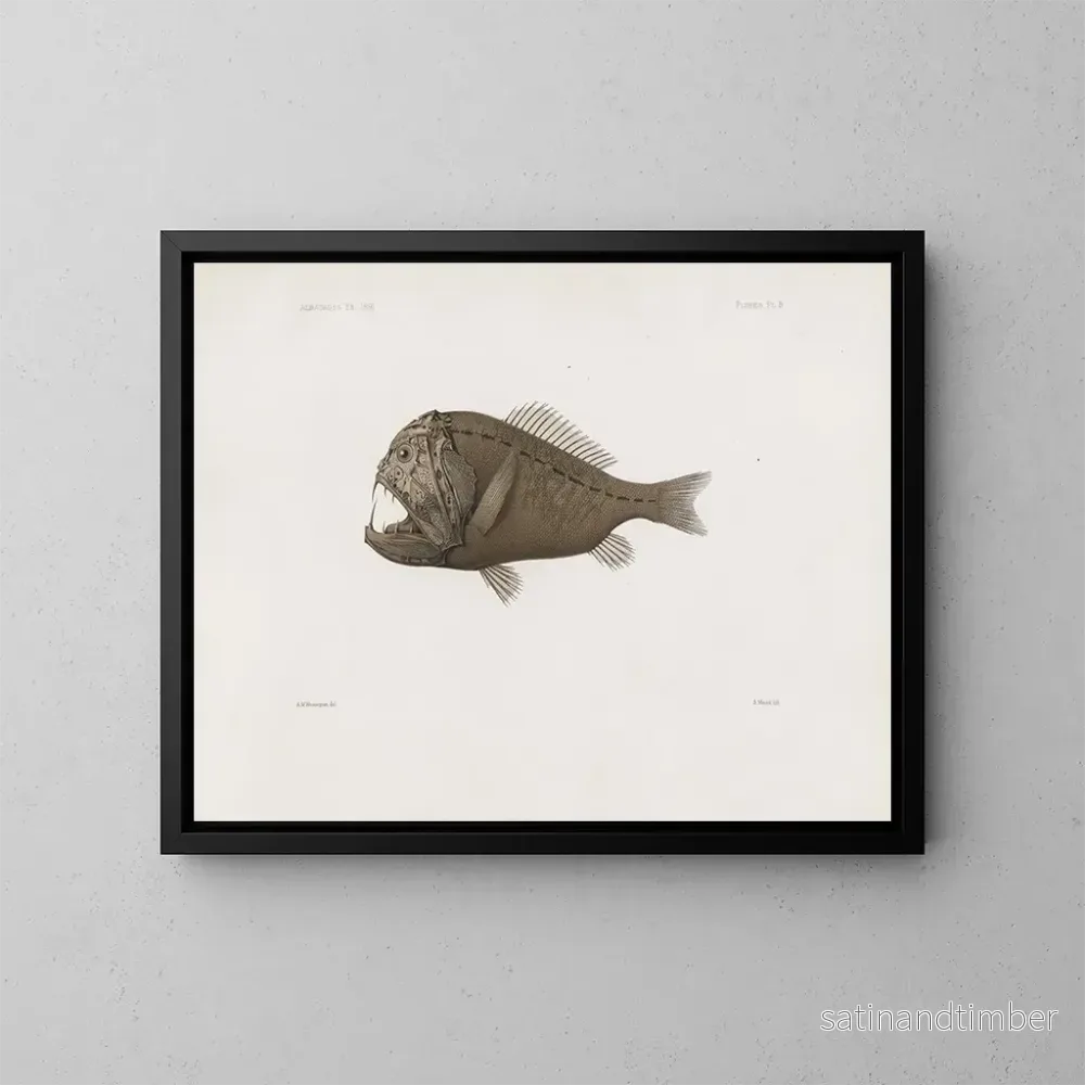 Reproduktion av målningen Mémoires du Muséum de zoologie comparée de l’Université Harvard Pl86 – Musée de Zoologie Comparée de l’Université Harvard Reproduktion av målningen Mémoires du Muséum de zoologie comparée de l’Université Harvard Pl86 – Musée de Zoologie Comparée de l’Université Harvard