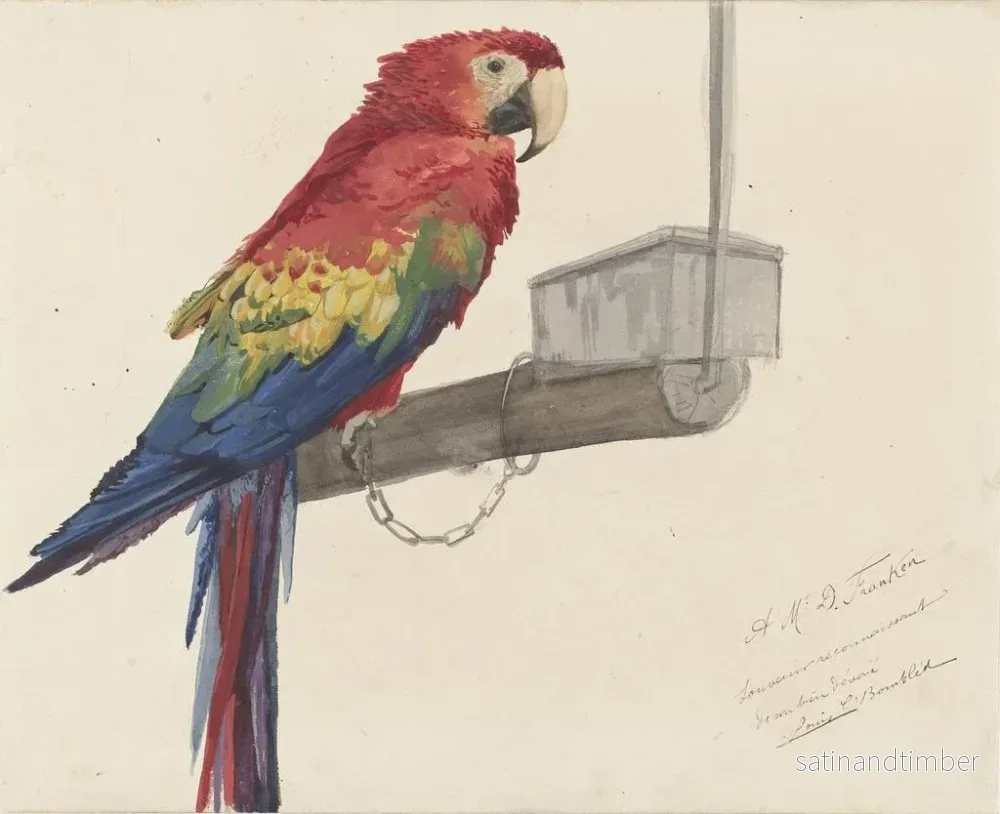 Reproduktion av målningen Papegoja - Louis-Charles Bombled - Bild 2