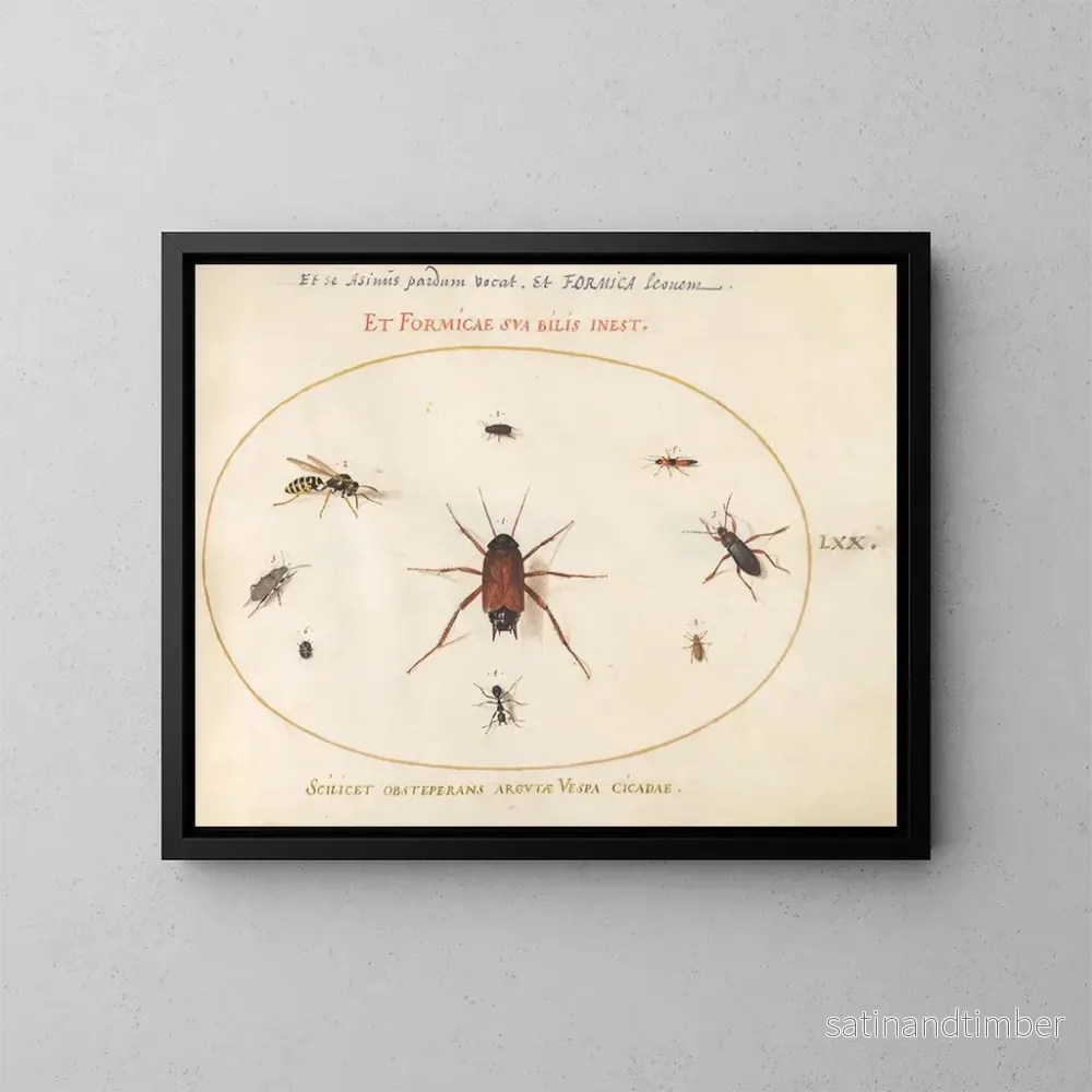 Reproduktion av målningen Planche 70: En gädda omgiven av insekter - Joris Hoefnagel