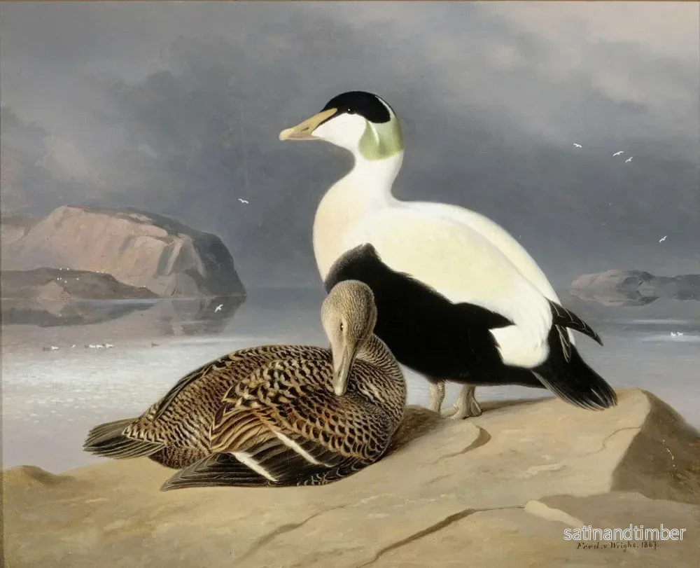 Reproduktion av målningen Två ankor - Ferdinand von Wright - Bild 2