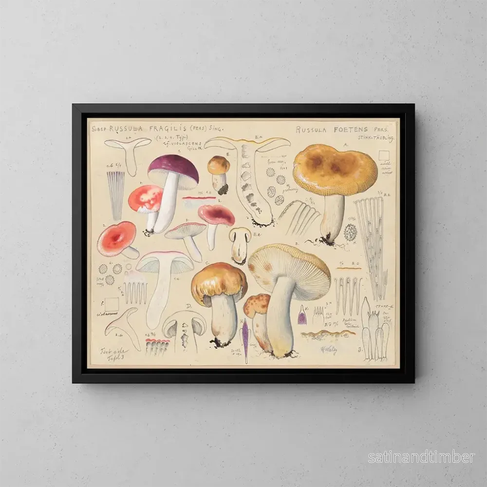 Reproduktion av målningen Russula foetens - Hans Baldung