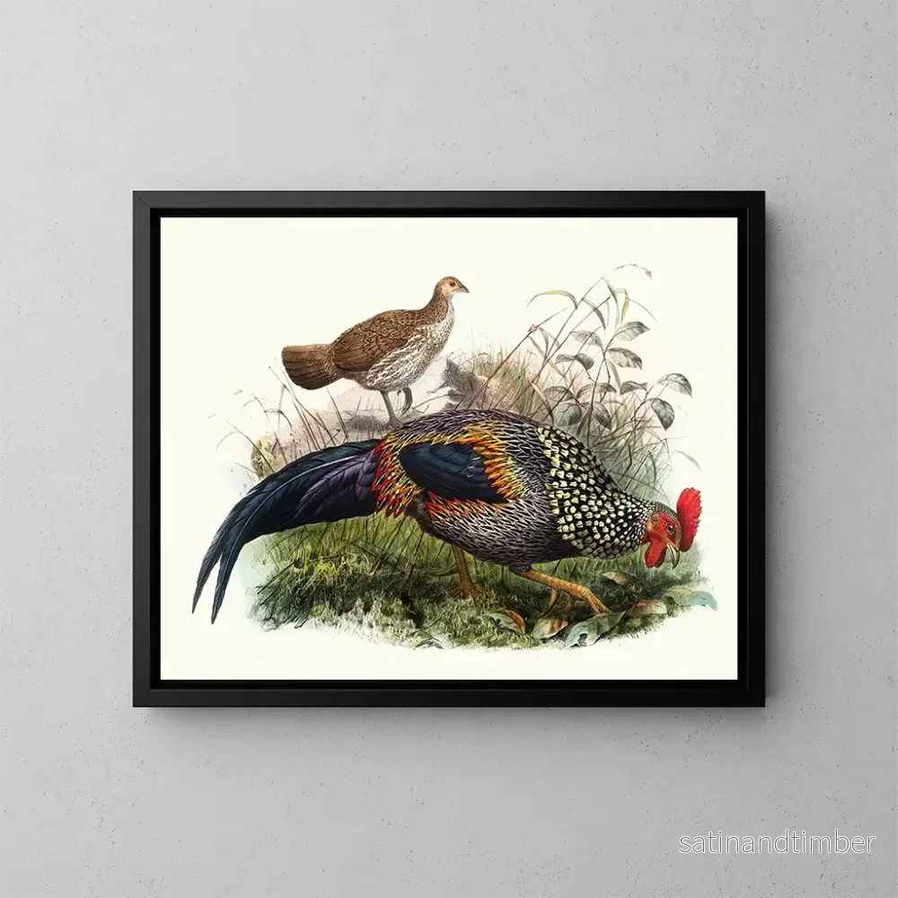 Reproduktion av målningen Le coq de Sonnerat - Joseph Smit