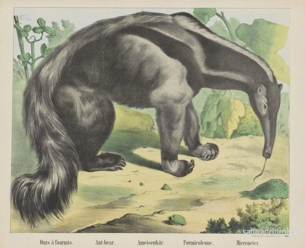 Reproduktion av målningen Fourmilier - Joseph Scholz - Bild 2
