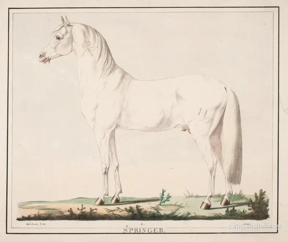 Reproduktion av målningen Le cheval sauteur - Christian David Gebauer - Bild 2