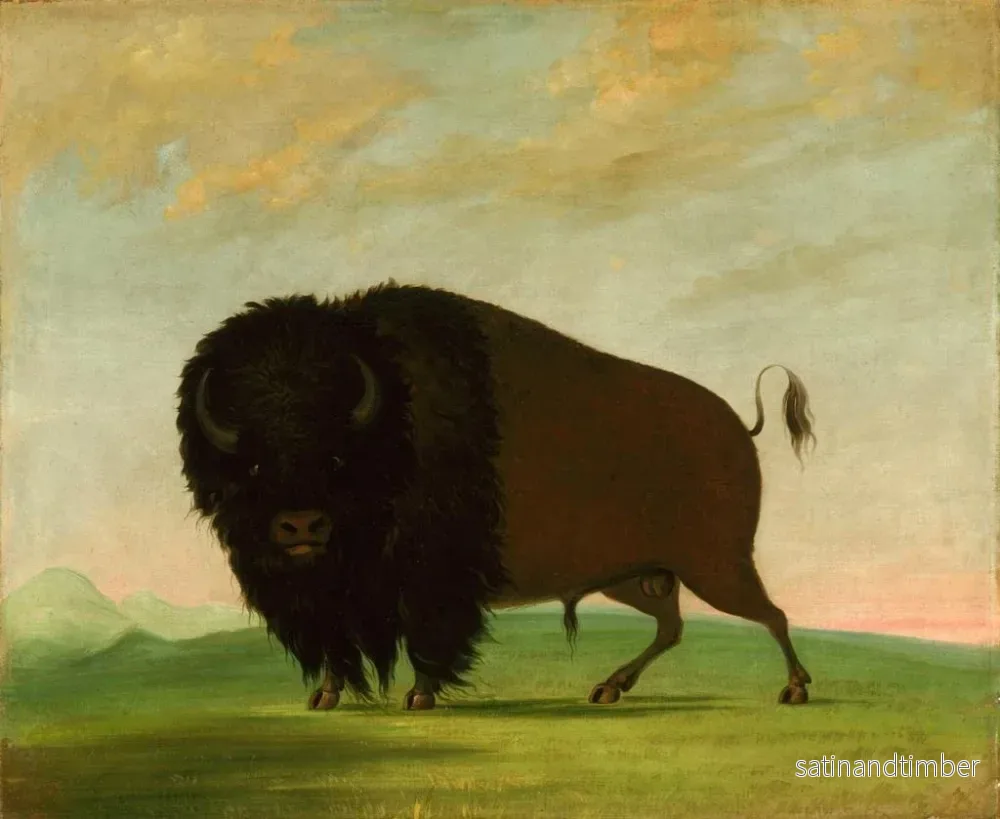 Reproduktion av målningen Bison betande på prärien - George Catlin - Bild 2