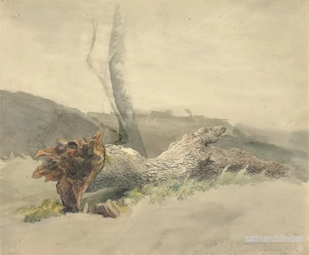 Reproduktion av målningen L'arbre tombé - Robert Hills - Bild 2