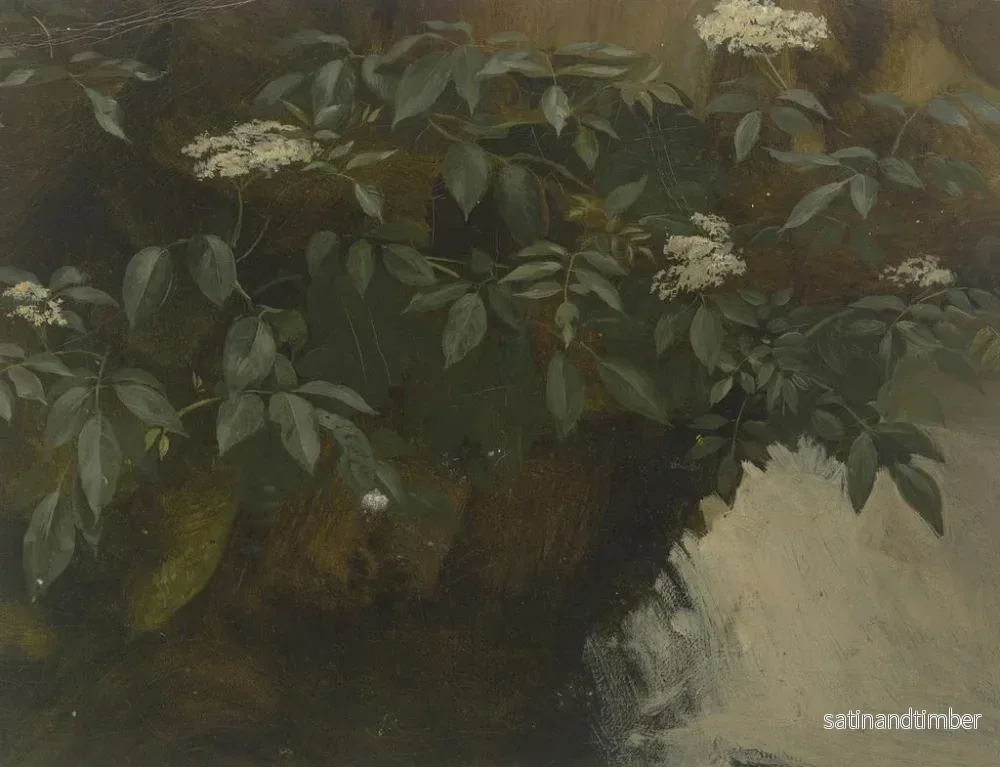 Reproduktion av målningen Sureau en fleurs - Philipp Rumpf - Bild 2